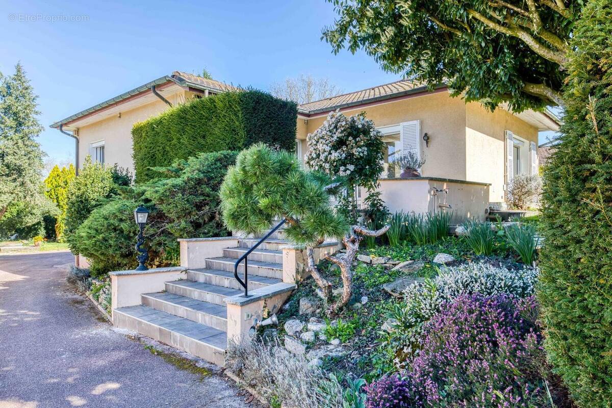 Photo 1 - Maison à SAINT-DENIS-LES-BOURG