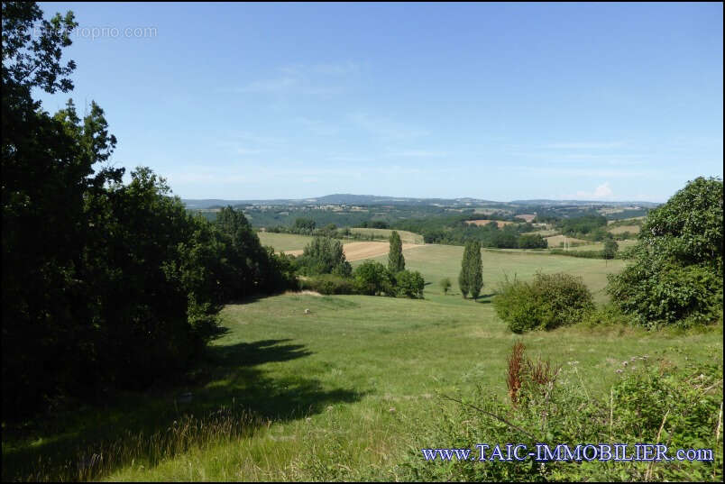 Maison à CORDES-SUR-CIEL