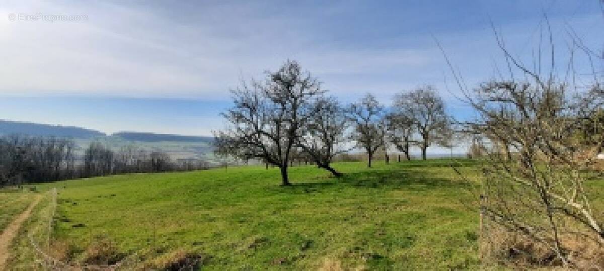 Terrain à DIEULOUARD