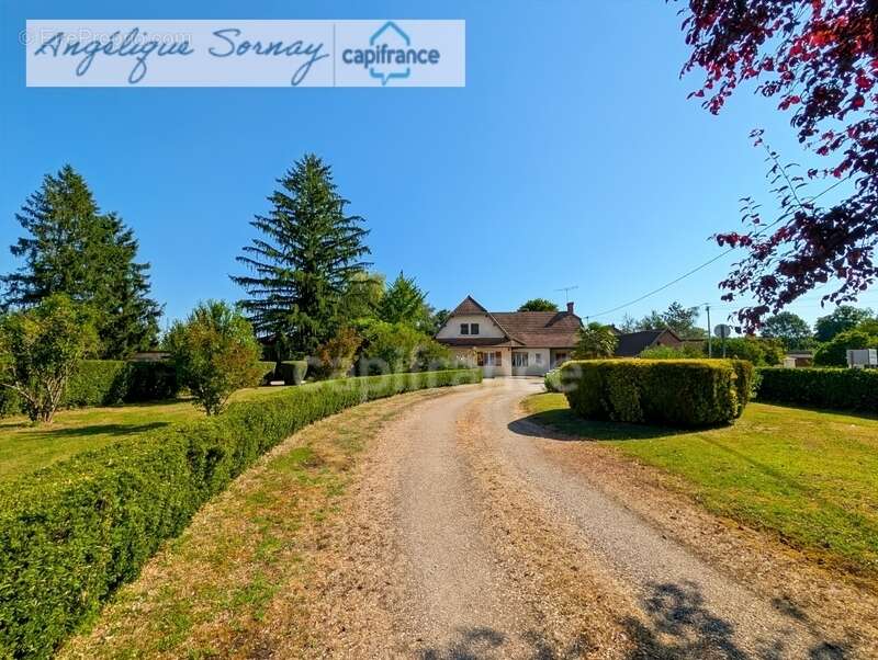 À Louhans, une propriété familiale aux volumes rares - photo 38