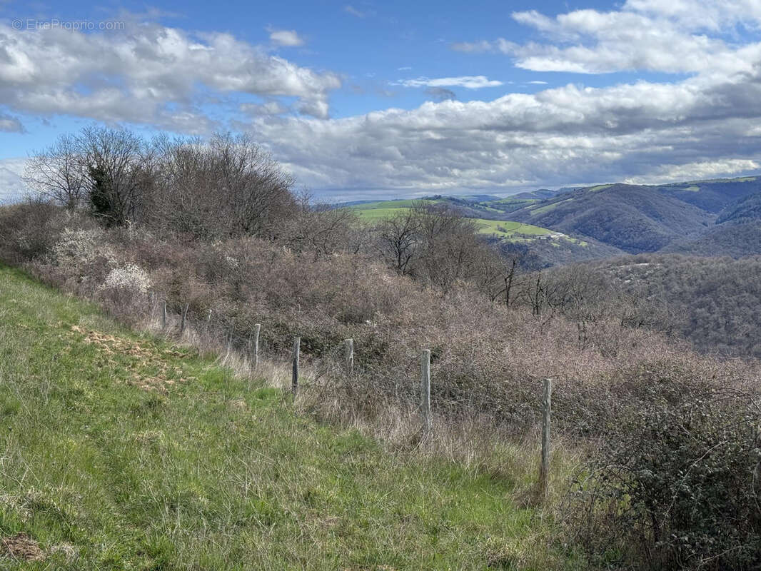 Terrain à AMBIALET