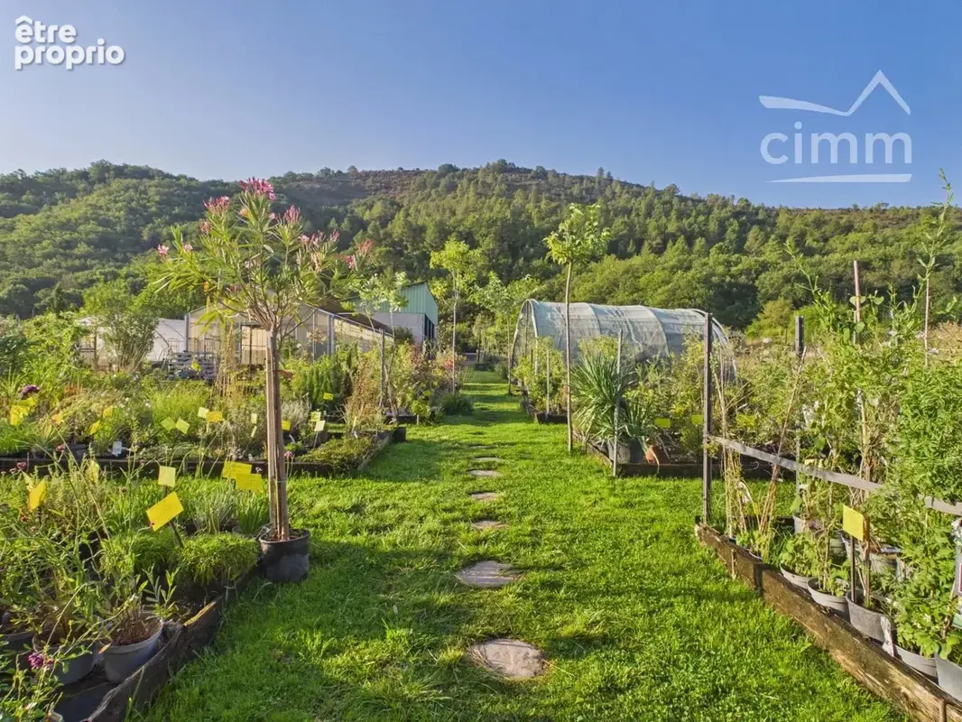 Jardinerie / Pépinière – Murs et Fonds de commerce – Sud Ardèche - photo 5
