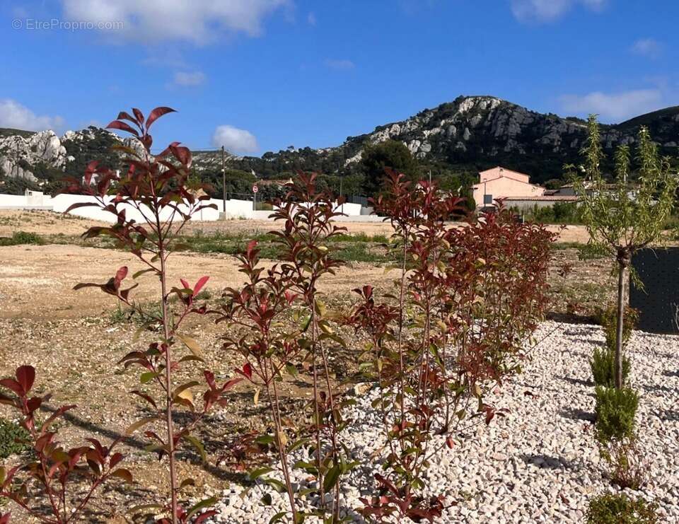 Terrain 640 m² à Les Pennes-Mirabeau  - photo 3