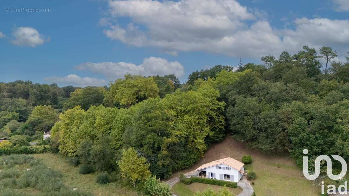 Photo 9 - Maison à SAINT-MARTIN-DE-SEIGNANX