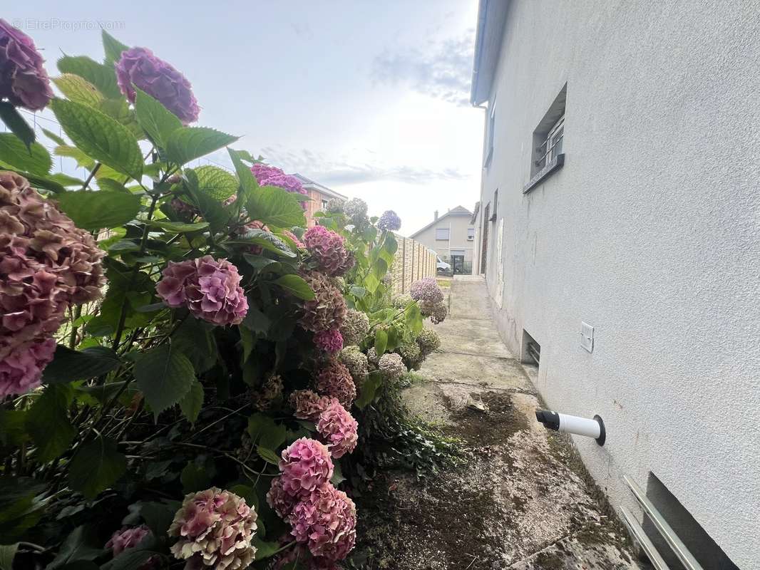 En exclusivité sur Ludres  - photo 12