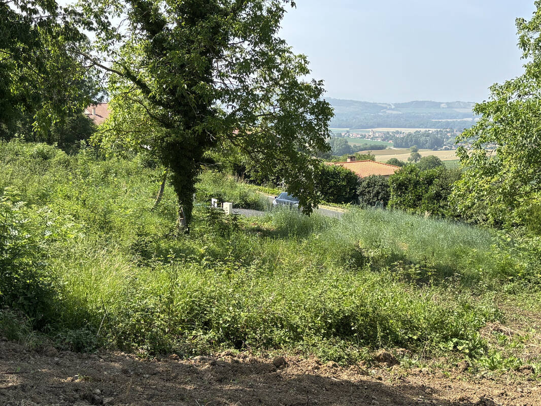 Terrain à SAINT-GEORGES-SUR-ALLIER