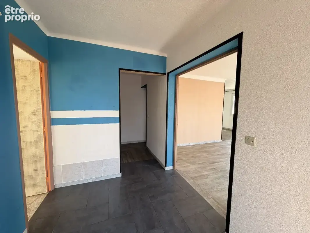 AGDE-  maison composée de deux appartements énorme potentiel terrain 579 m² - photo 5
