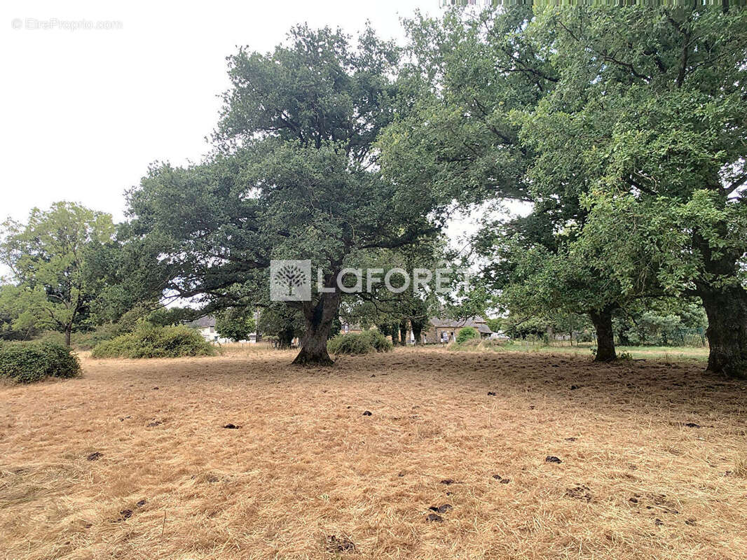 Maison à MAURE-DE-BRETAGNE