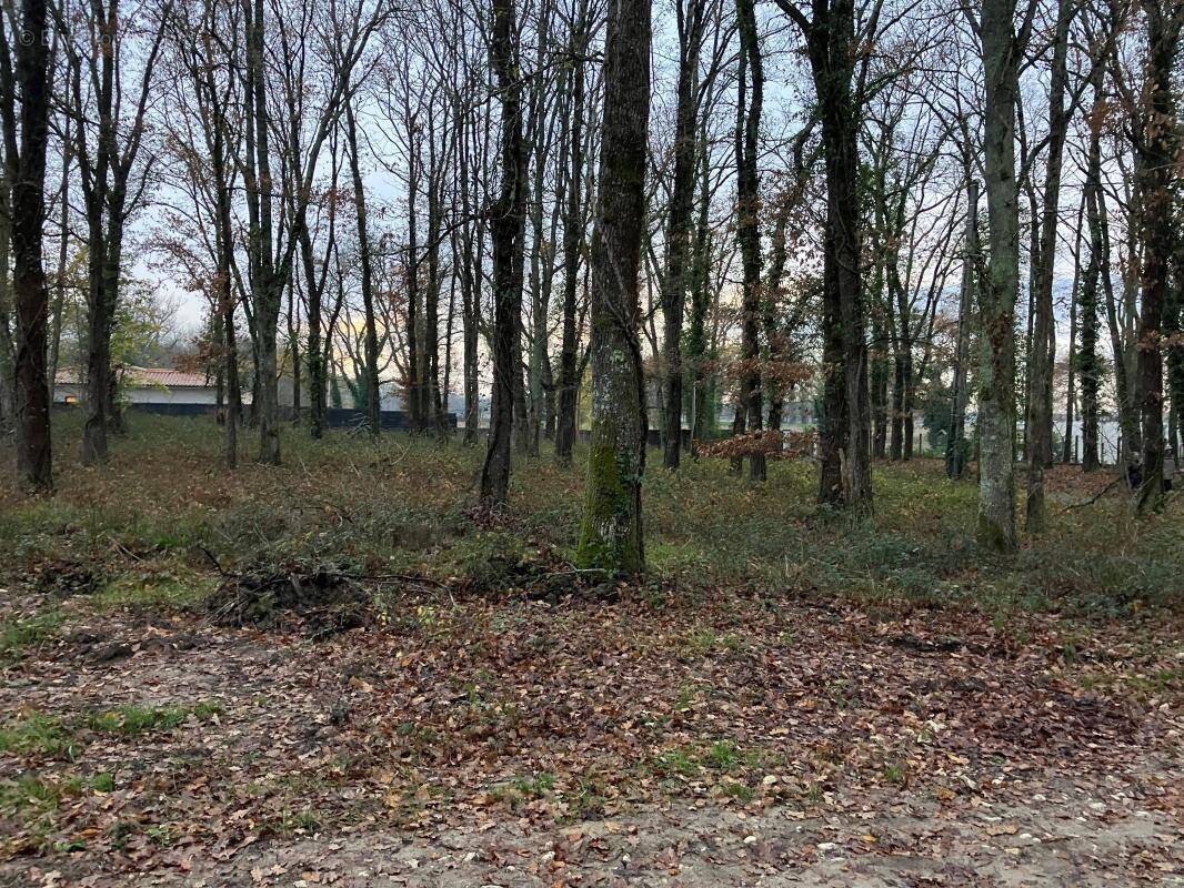 Terrain à MONTPON-MENESTEROL