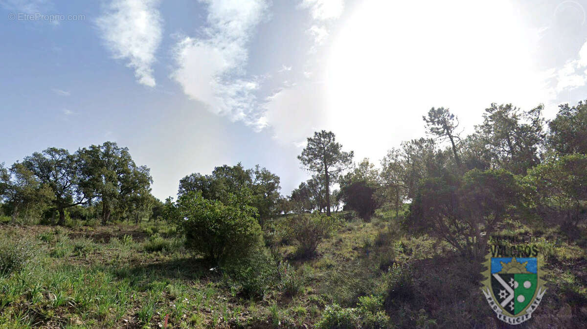 Terrain à LA LONDE-LES-MAURES