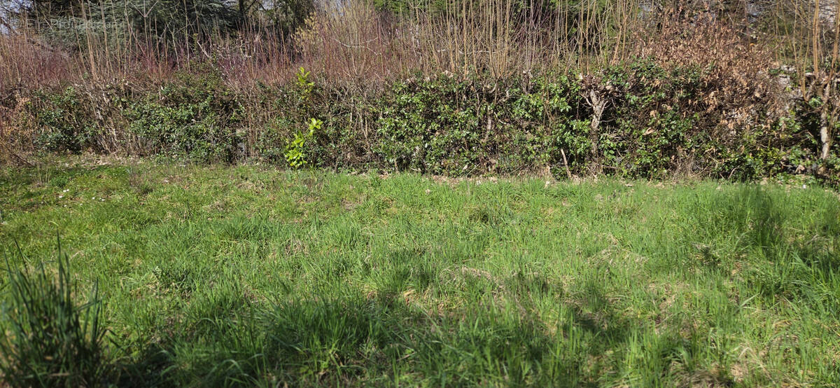 Terrain à LUBERSAC
