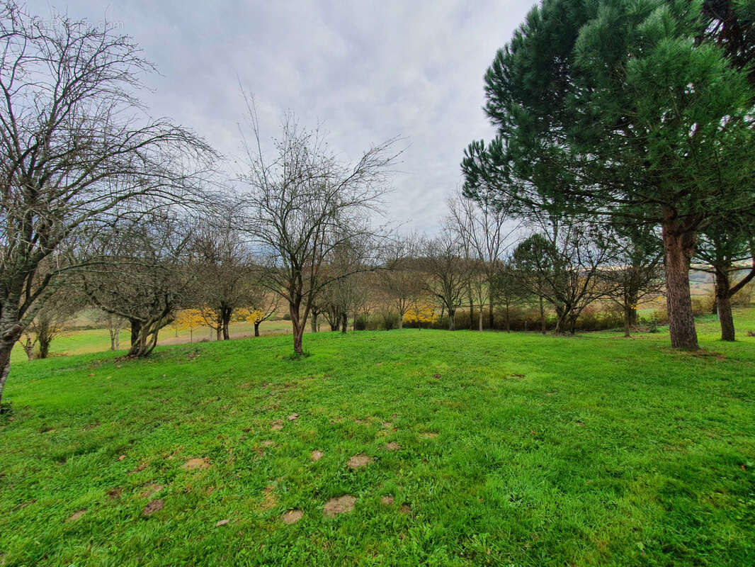 Maison à VIELLE-TURSAN