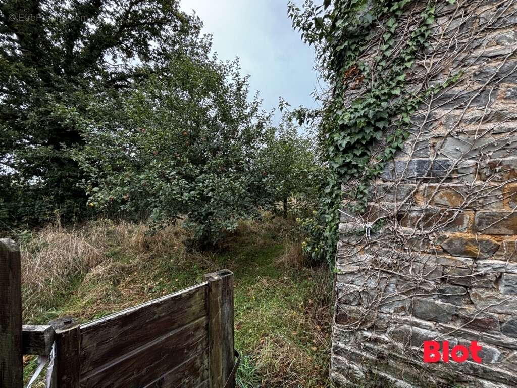 Maison à SAINT-GERMAIN-SUR-ILLE