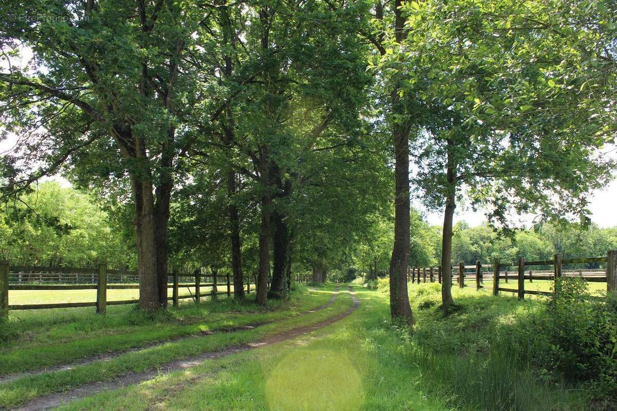   - Maison à SEICHES-SUR-LE-LOIR