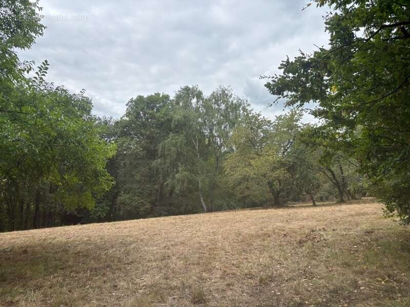 Terrain à vendre de 2 247,00 m²  () - photo 10