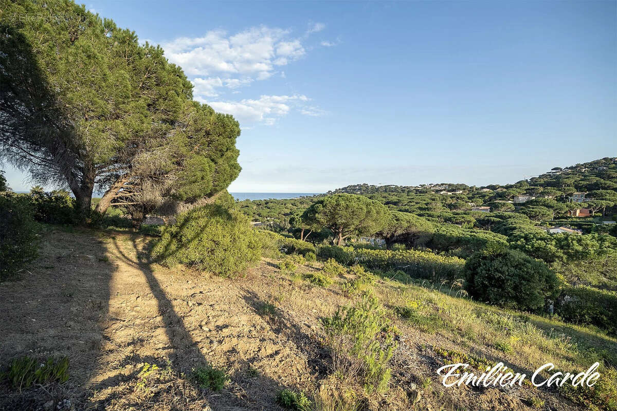 Terrain à SAINTE-MAXIME
