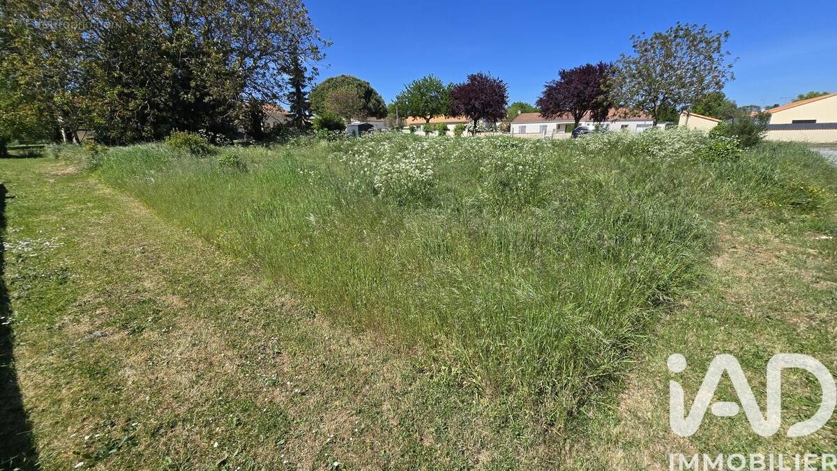 Photo 1 - Terrain à SAINT-REMY