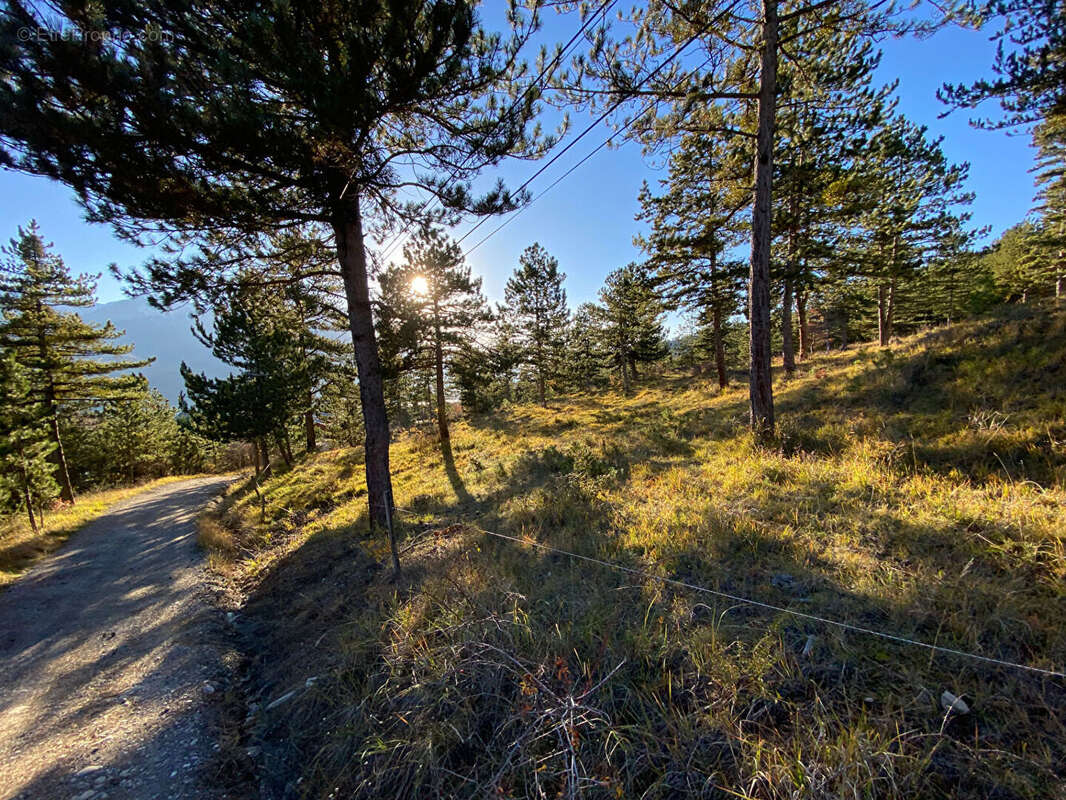 Terrain à EMBRUN