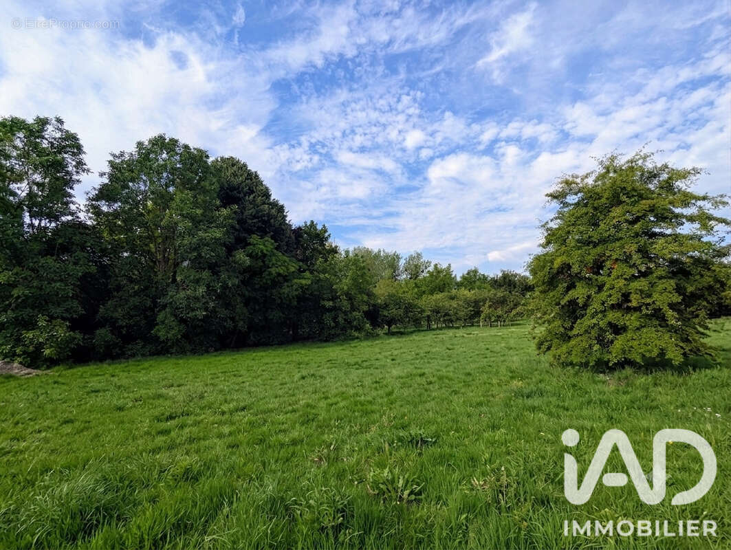 Terrain 7318 m² à Landes-Le-Gaulois  - photo 3
