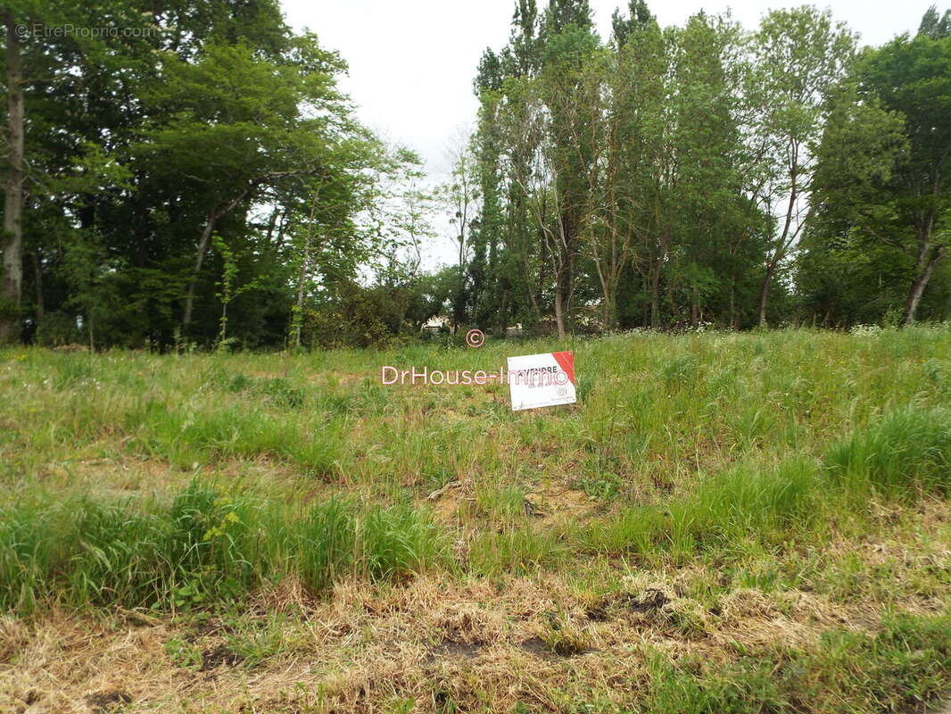 Terrain à SAINT-GENIS-DE-SAINTONGE
