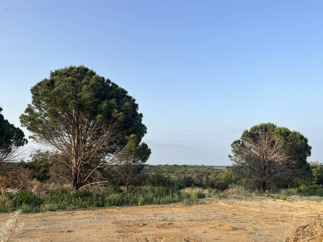 Terrain à TRESSERRE
