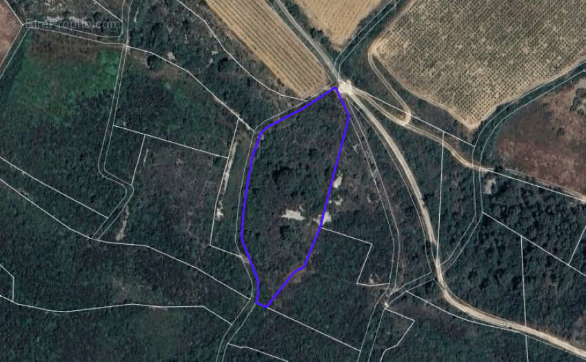 Terrain à LA CAUNETTE