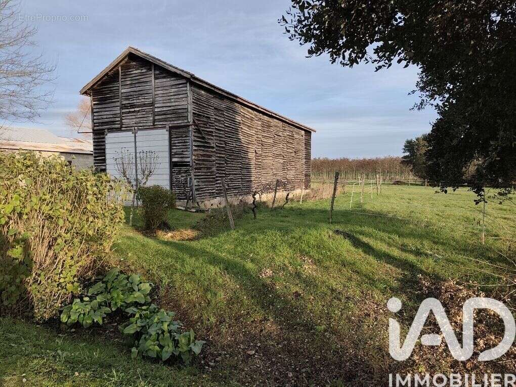 Photo 7 - Maison à DURAS