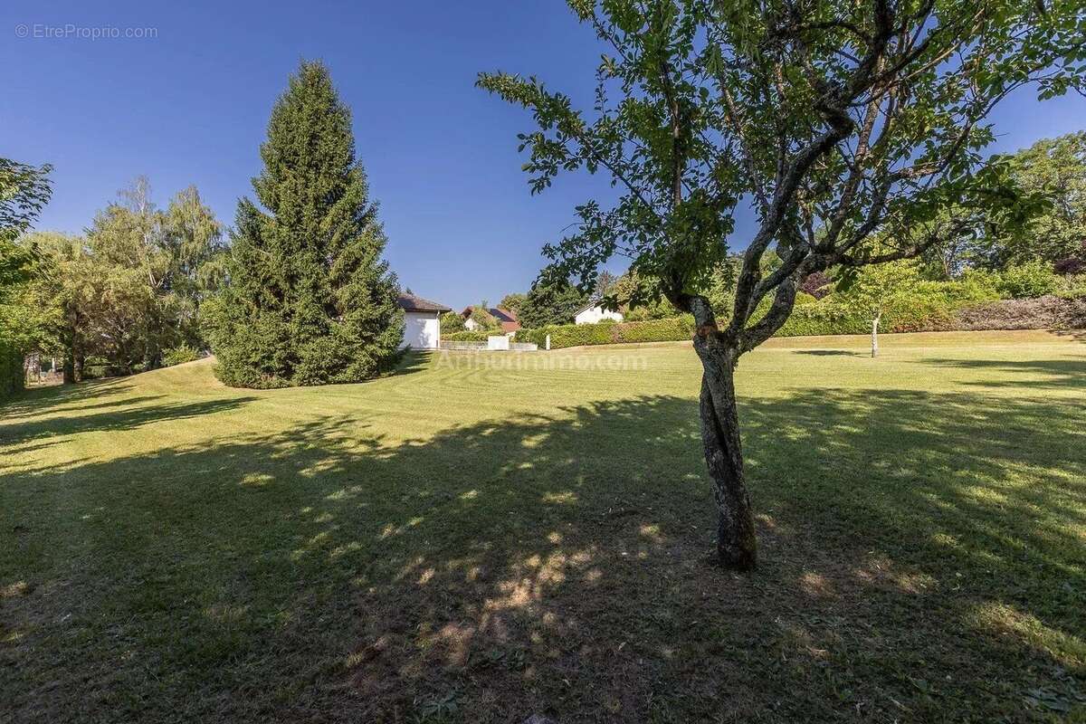 Vente Maison Belley(01300) 349 000ï¿œ - photo 3
