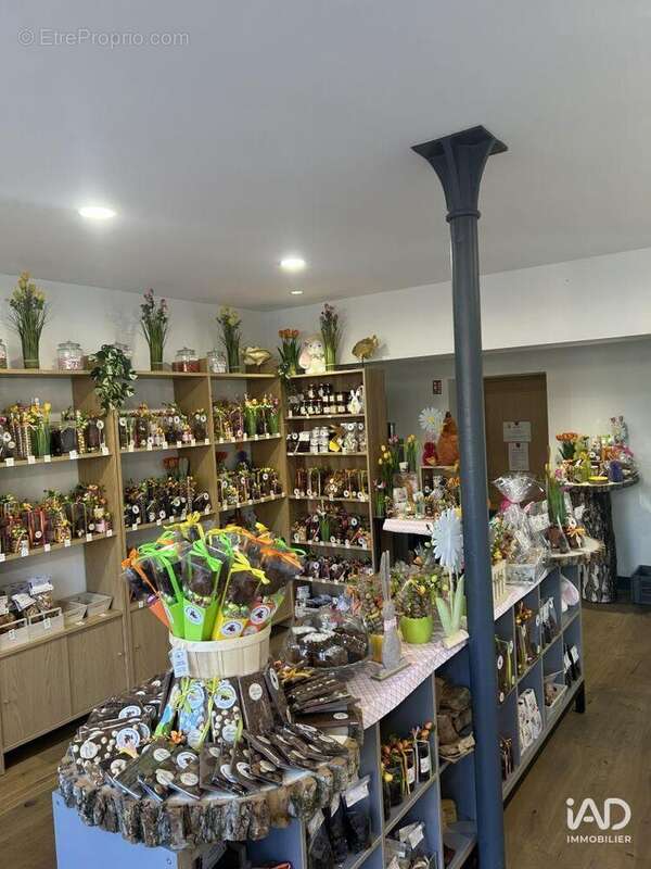 Photo 2 - Commerce à ROCHEFORT-MONTAGNE