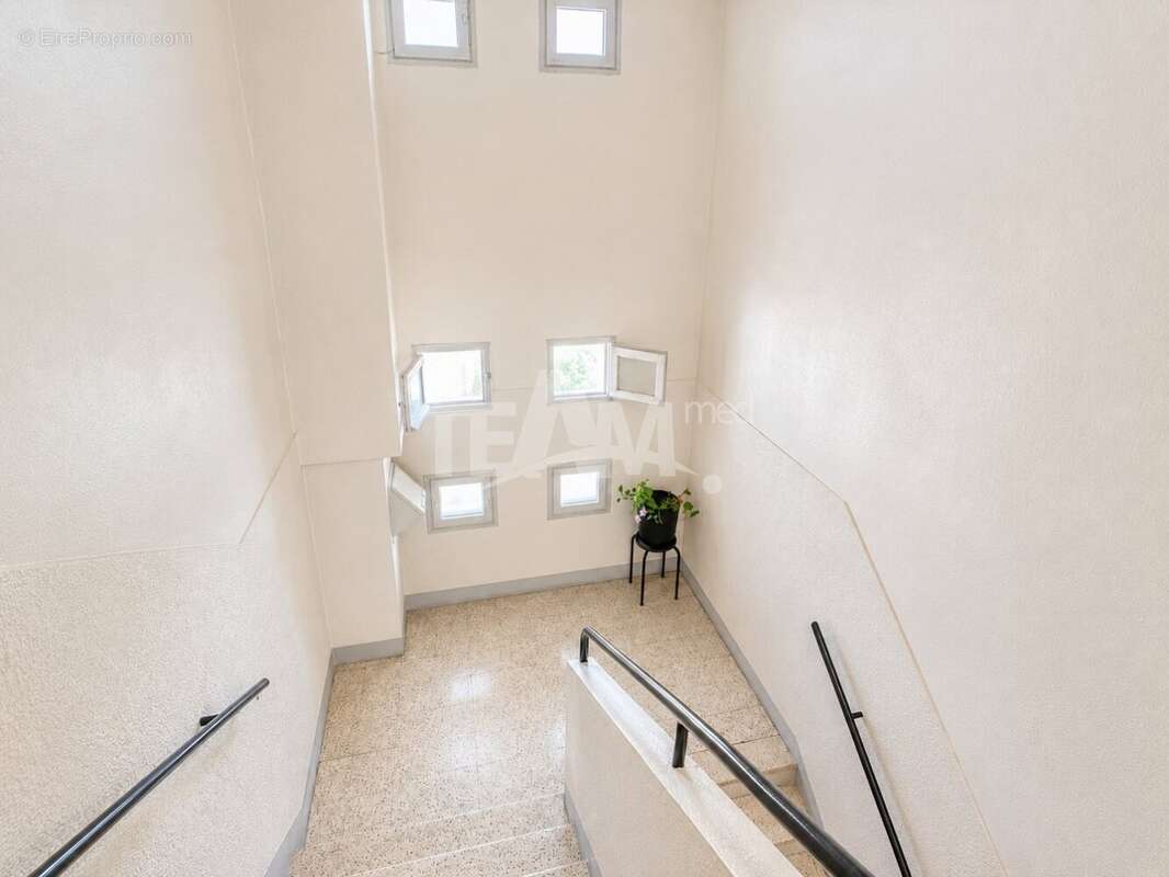 T3 vue dégagée - photo 12