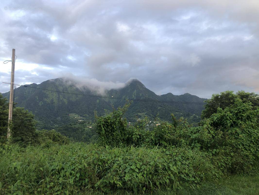 Terrain à LE MORNE-VERT