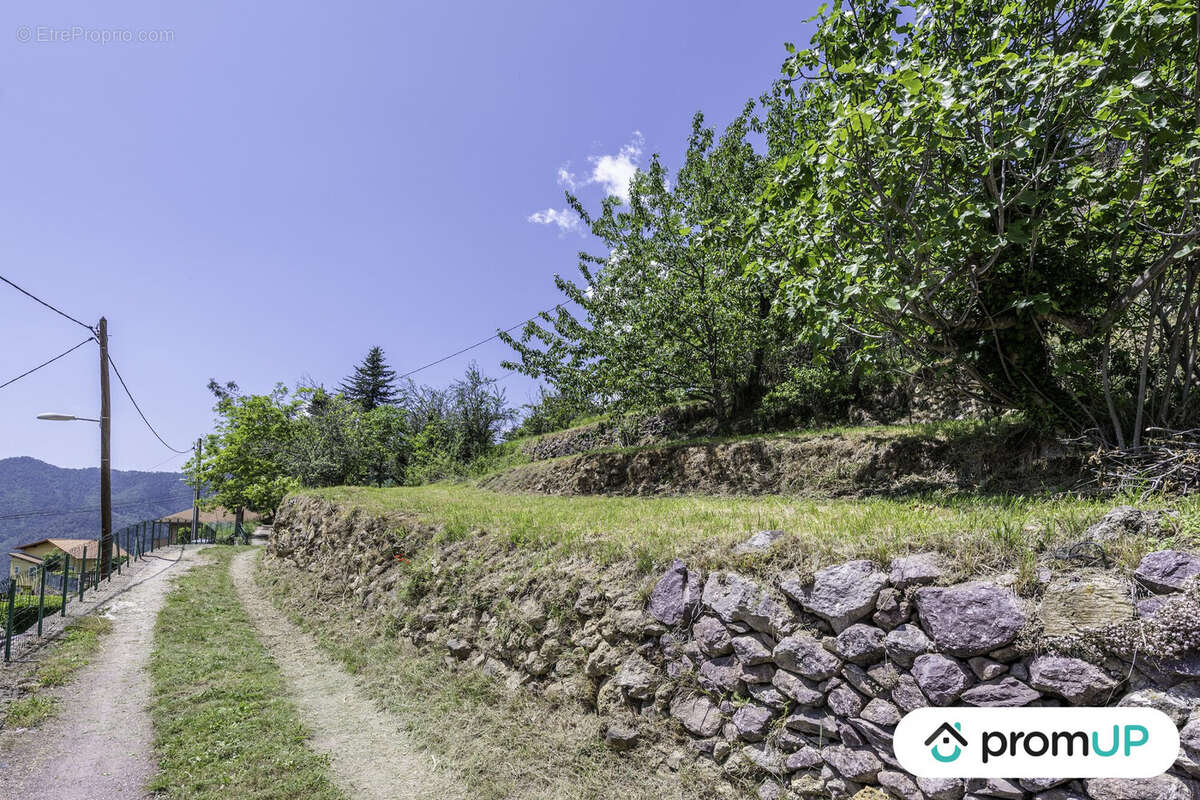 Terrain à BELVEDERE