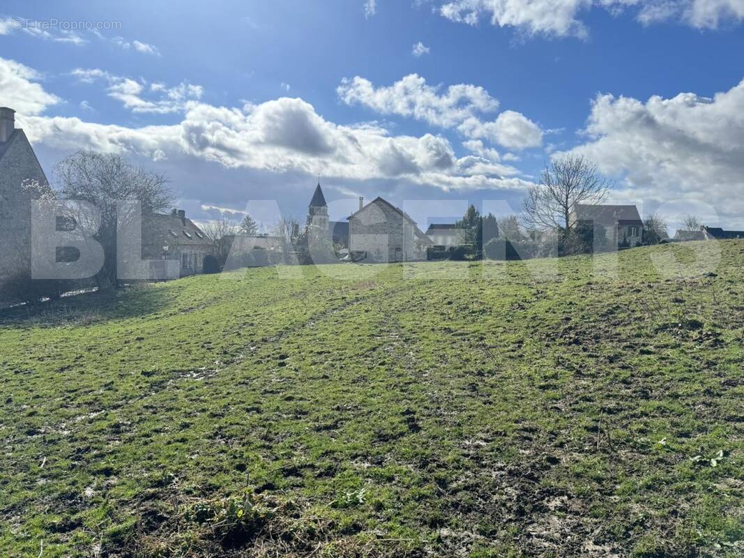 IMG_1871 Grande - Terrain à VILLERS-COTTERETS