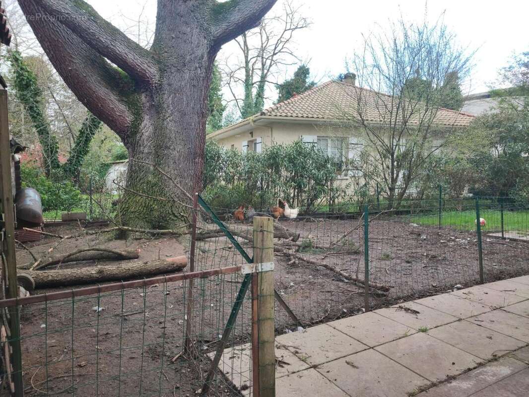 Photo 9 - Maison à PINEUILH