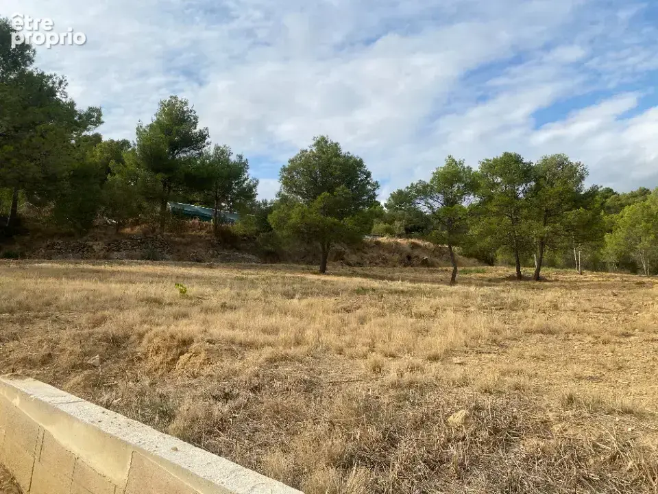 Terrain à BIZE-MINERVOIS