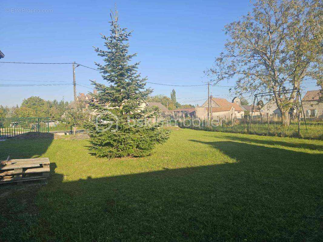 Terrain à BOISCOMMUN