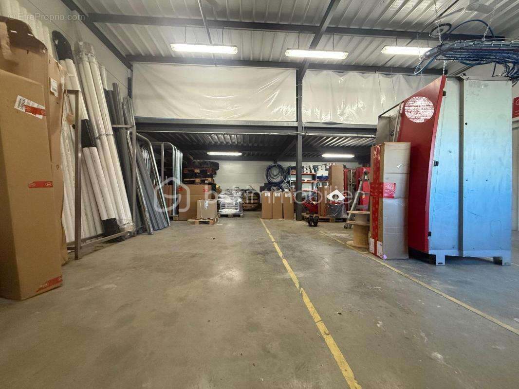 Commerce à SAINT-FELIX