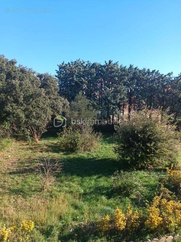 Maison à SAINT-HILAIRE-D'OZILHAN