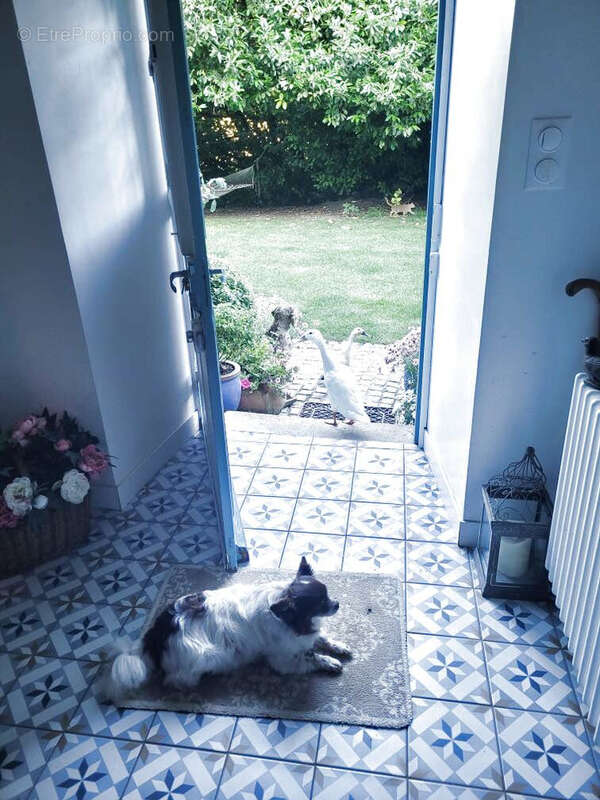 Maison à CLOHARS-CARNOET