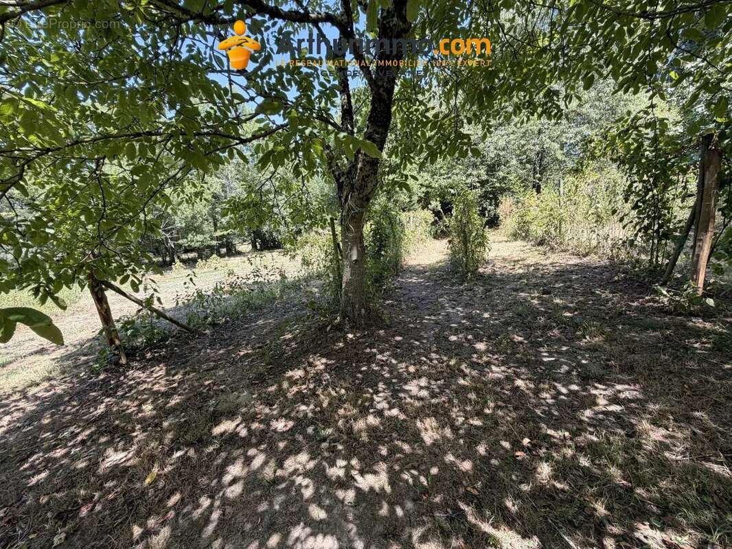 Maison familiale avec dépendances et terrain - 09300 villeneuves d'olmes - photo 2
