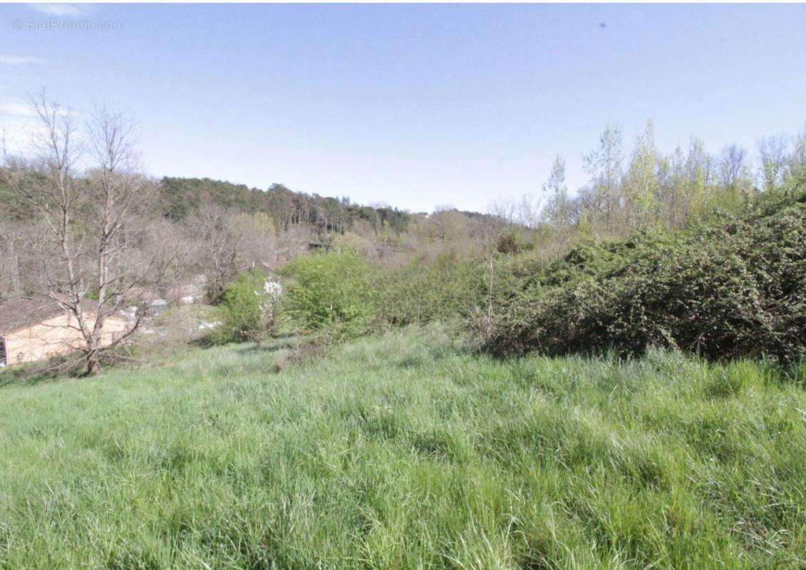 Terrain à GRAULHET