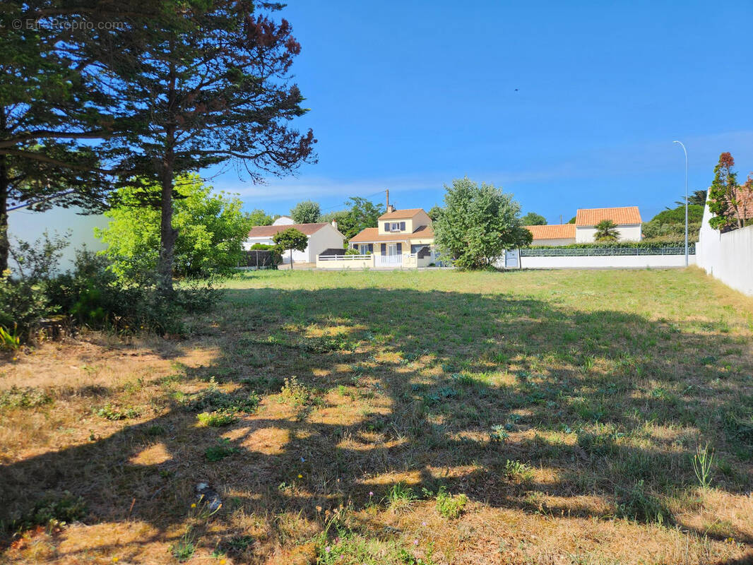 Terrain à SAINT-HILAIRE-DE-RIEZ