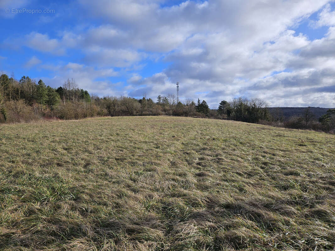 Terrain à SAINT-GERMAIN-SUR-MEUSE