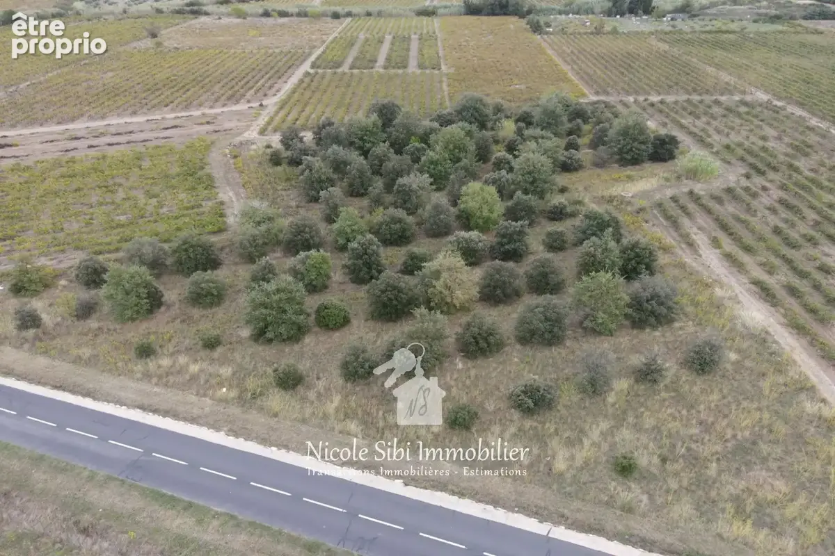 Terrain 7 102 m² à vendre à Montner (66720) - photo 5