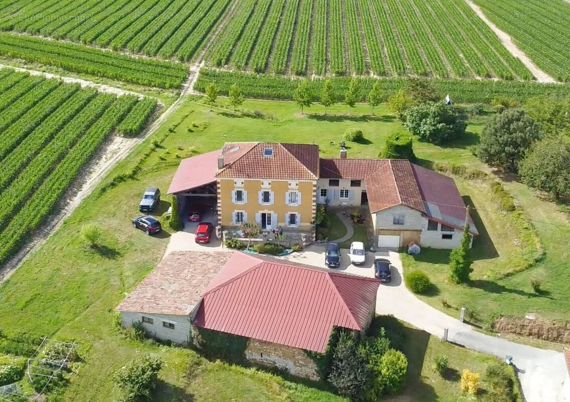 Maison 6 pièces 253m² - 5 chambres - Ancien chai - Bodega - Terrain 20 000m² - SAINT SEVER (40) - photo 1