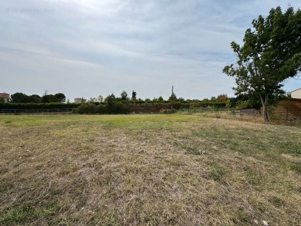Terrain à LA CASSAIGNE