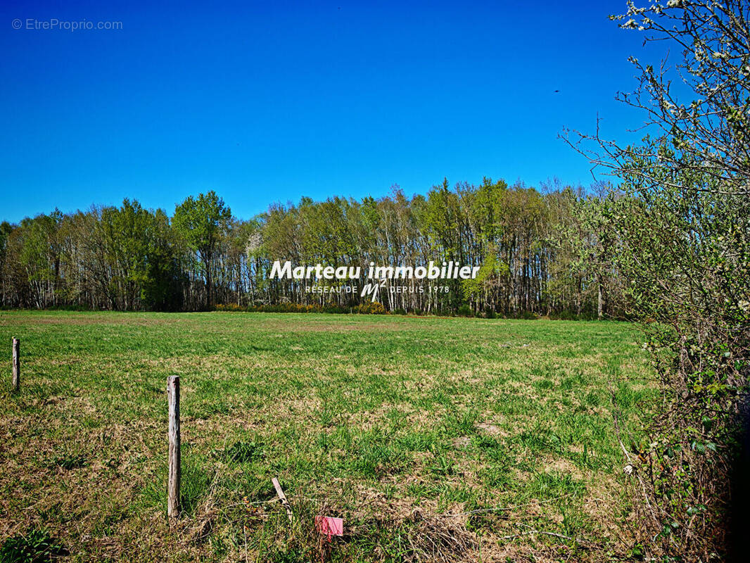 Terrain à LE GRAND-LUCE