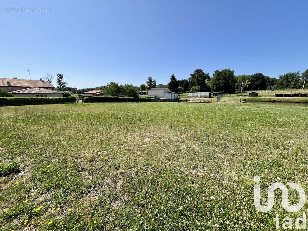 Photo 3 - Terrain à BAZAS