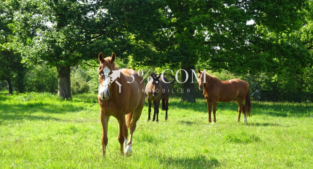 Maison à BOUGUENAIS