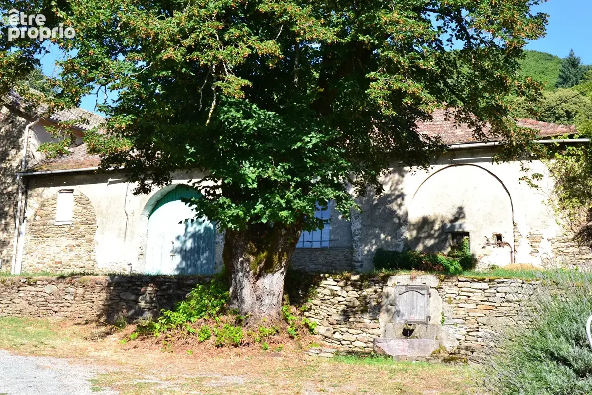 Courniou parc du haut Languedoc bâtisse ancienne de 200m² avec terrain de 510 m² - photo 2